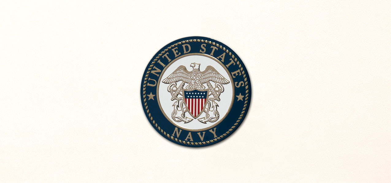 P 546 RT US Navy Rosetan Faux